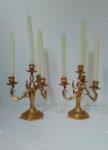 Pair of French, Bronze, Gold Plated Candlesticks, 1900s